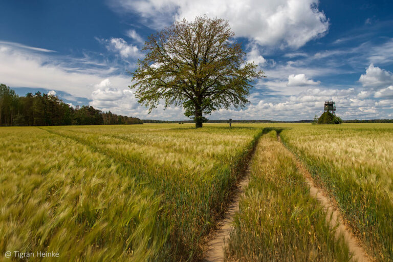 Unterwegs im Dresdner Heidebogen